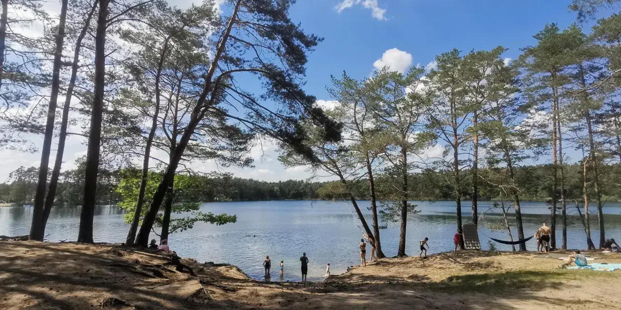 Słoneczny dzień nad srebrnym jeziorem. Ludzie kąpią się i odpoczywają na piaszczystej plaży, otoczonej sosnami.