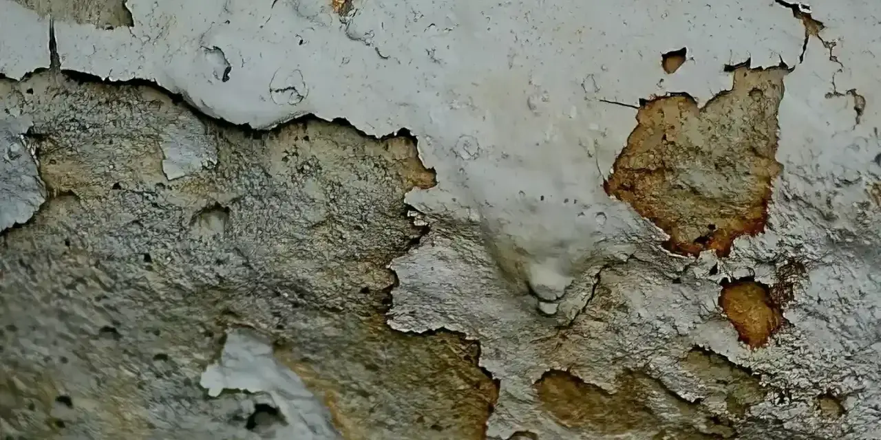 Muri scrostati con macchie scure, segno di umidità. Ecco come evitare muffa in casa.