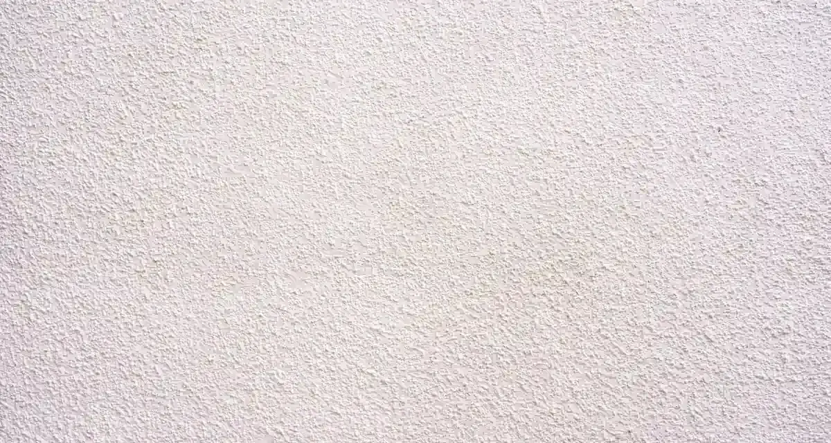 Texture d'un corps d'enduit chaux blanc, légèrement granuleux, évoquant la fraîcheur et la pureté d'une façade traditionnelle.