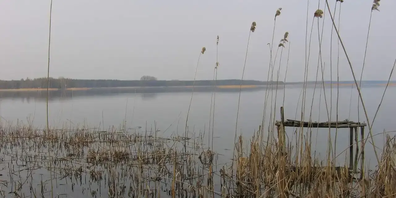 Spokojne jezioro Wierzbiczańskie otoczone trzcinami i lasem. Na pierwszym planie widoczny stary pomost.