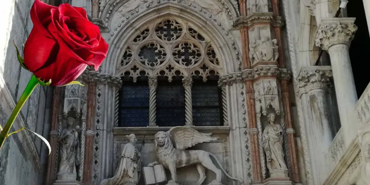 Rosa rossa davanti al Leone alato di San Marco, simbolo di Venezia.