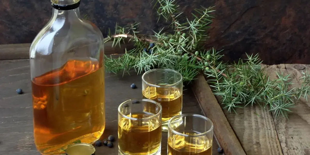 Flasche mit bernsteinfarbenem Gin, drei Gläser und Wacholderzweige. Perfekt für Gin DIY.