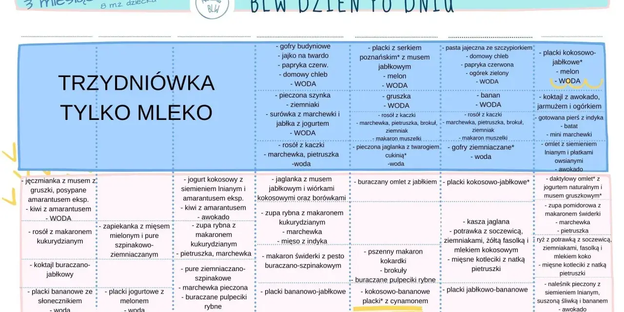 Tabela z propozycjami posiłków dla niemowląt, które stosują metodę BLW. Znajdziesz tu pomysły na śniadania, obiady i kolacje.