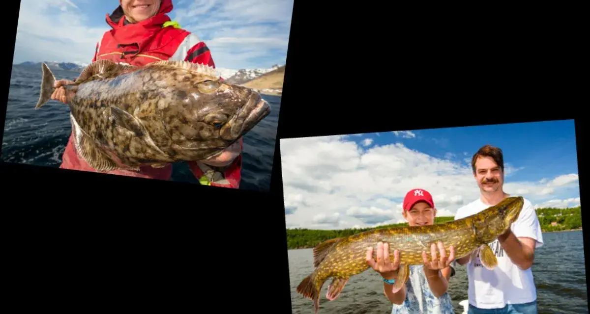 Glückliche Angler mit ihren Fängen. Ein Mann hält einen großen Fisch, während ein Junge und ein Mann einen Hecht präsentieren. Mit dem Echolot Fische erkennen ist hier erfolgreich.