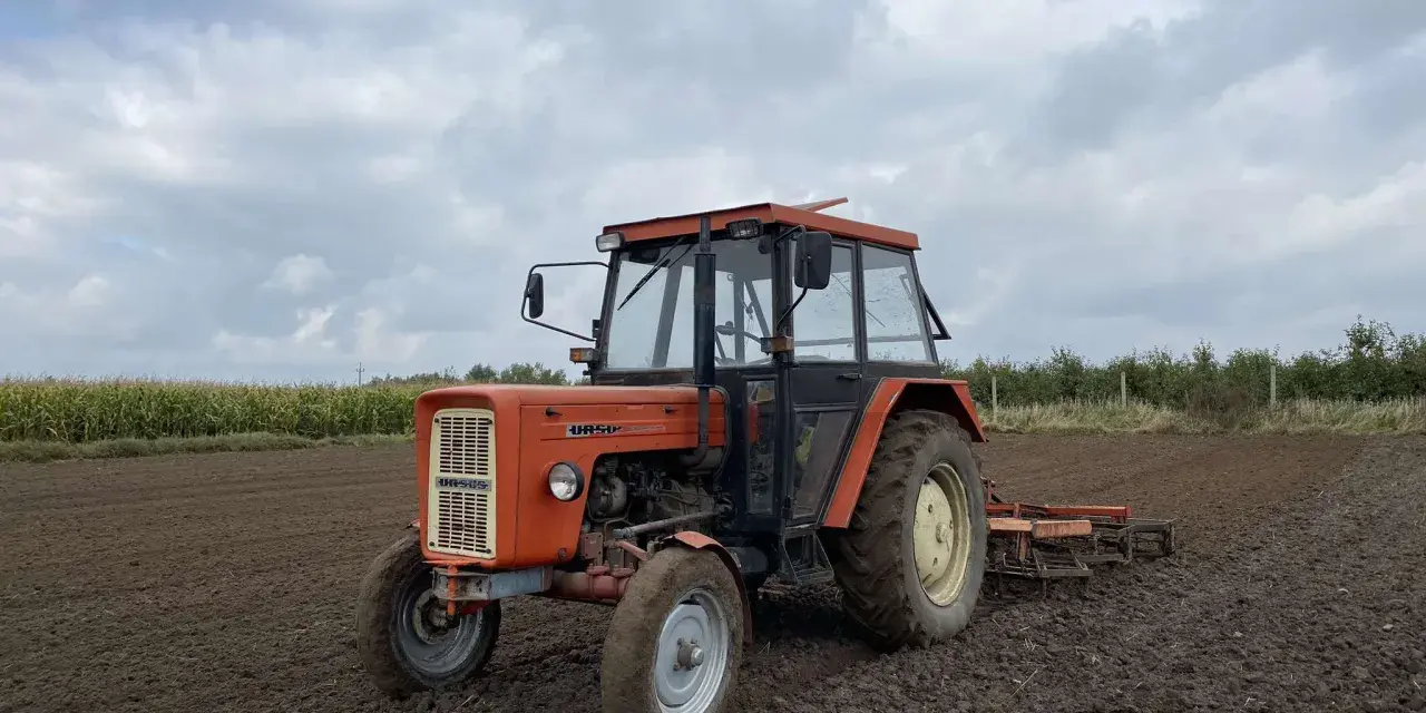 Pomarańczowy Ursus C-360 na polu. Zastanawiasz się, ile oleju do silnika C-360 potrzebujesz? Ten traktor jest gotowy do pracy.