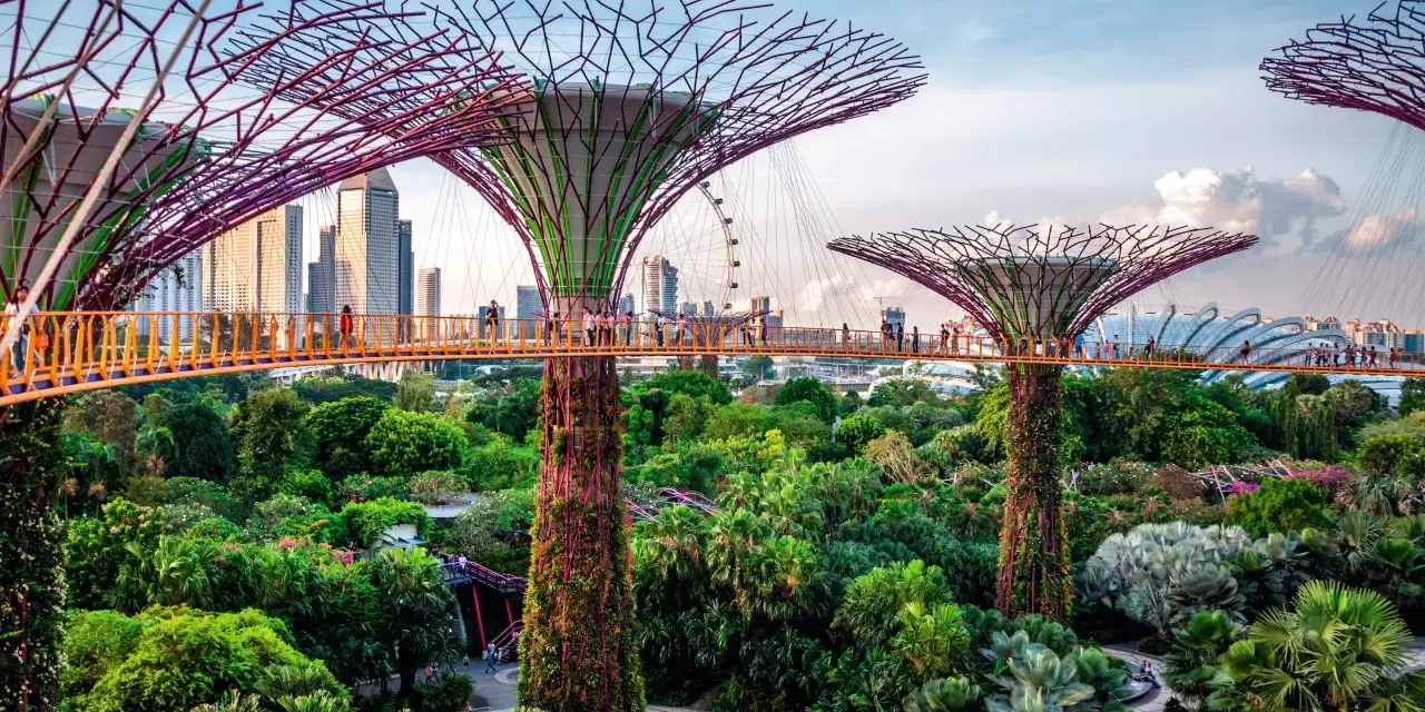 Superdrzewa w Gardens by the Bay, Singapur. To miasto-państwo leży w Azji Południowo-Wschodniej.