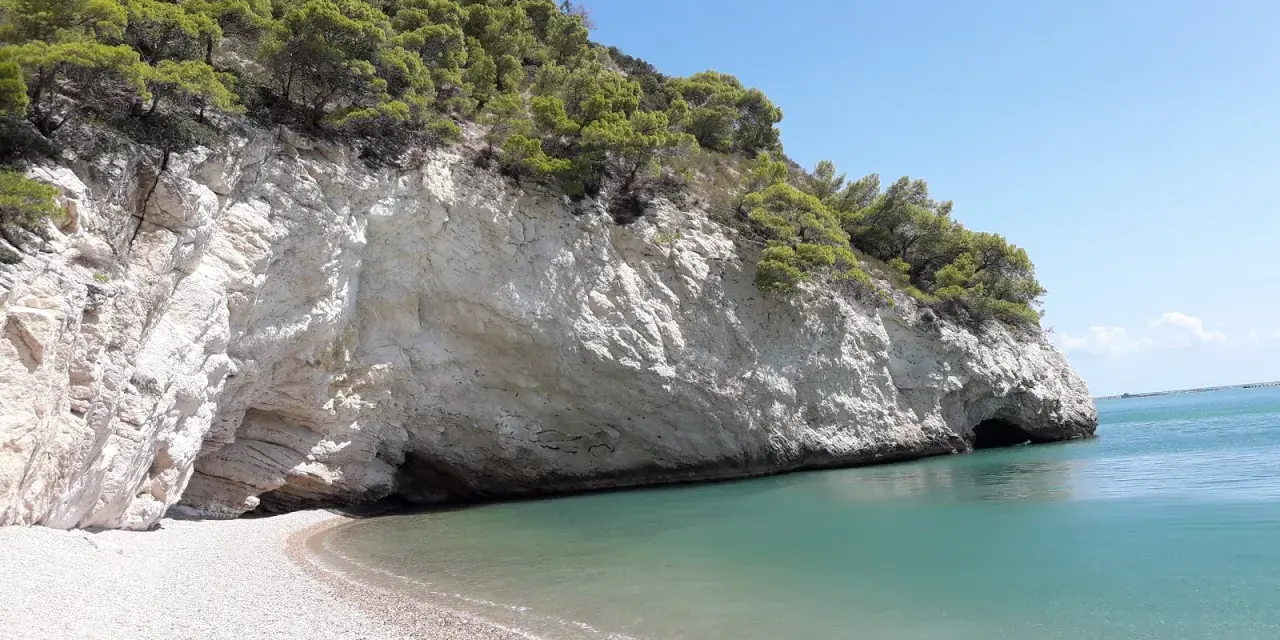 Una spiaggia di ciottoli bianchi si apre su un mare cristallino, incastonata tra imponenti scogliere calcaree ricoperte di pini marittimi. Sembra proprio la baia delle sirene, un luogo incantato.