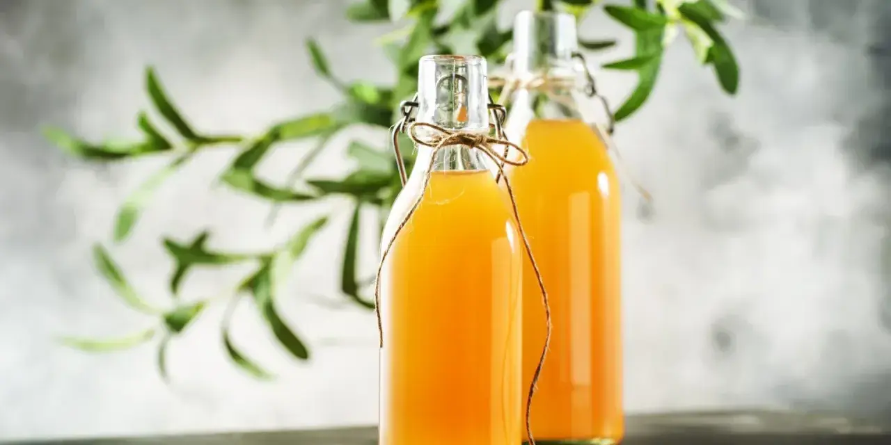 Dwie butelki z domową kombuchą, idealne do nauki jak zrobić grzyb kombucha.