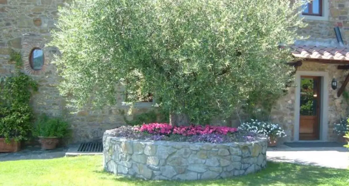 Un maestoso ulivo domina un giardino moderno, circondato da aiuole fiorite e un muretto in pietra.