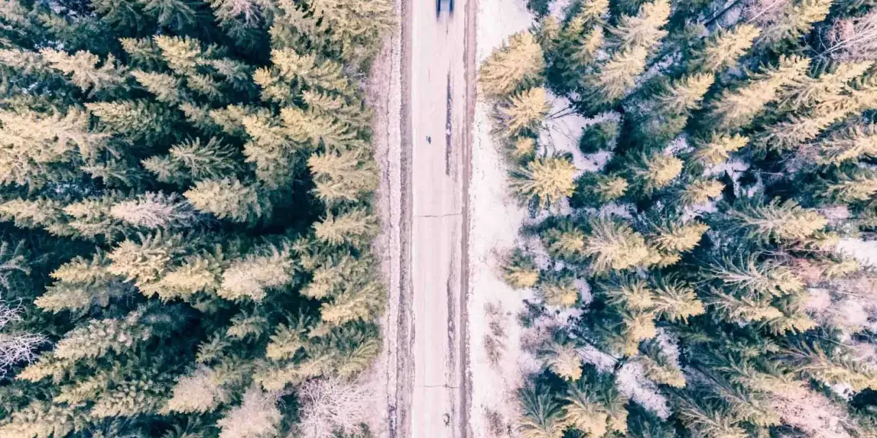 Droga przecinająca las, tworząc podział diagonalny. Widać rozmyty samochód.