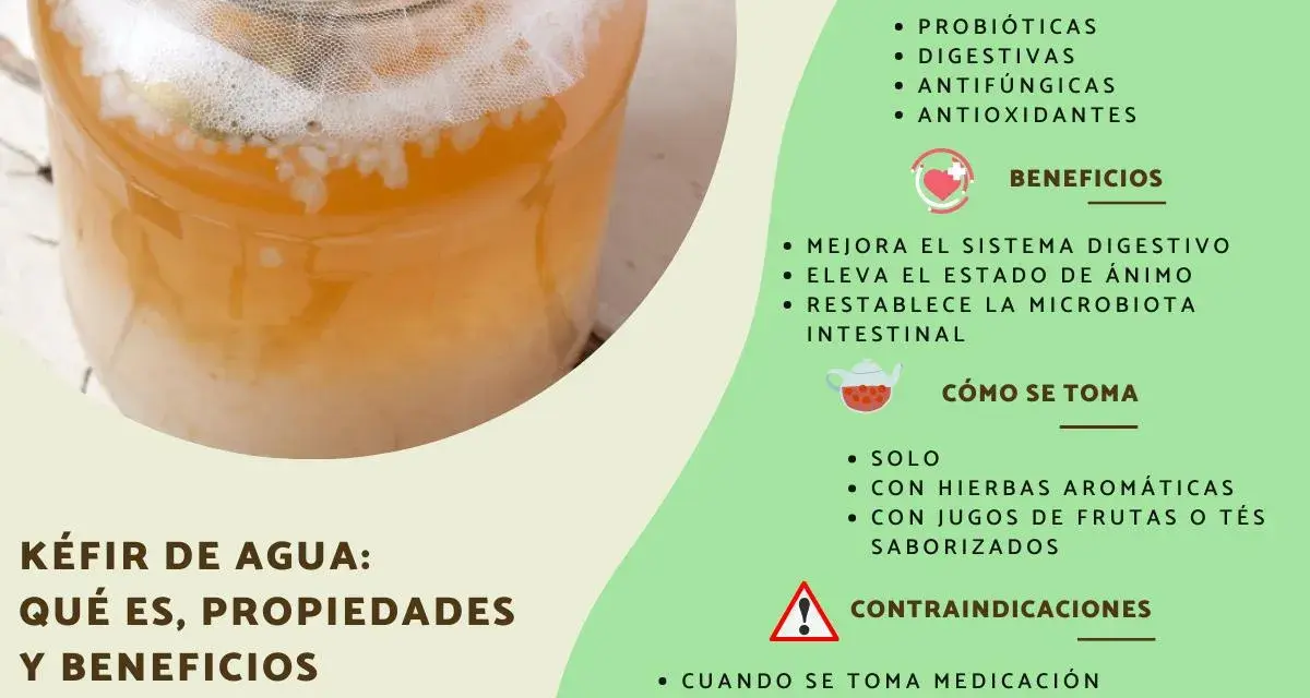 Kéfir de agua en un frasco, ideal para que es bueno el kéfir: mejora digestión, ánimo y microbiota. Propiedades probióticas, digestivas, antifúngicas y antioxidantes.