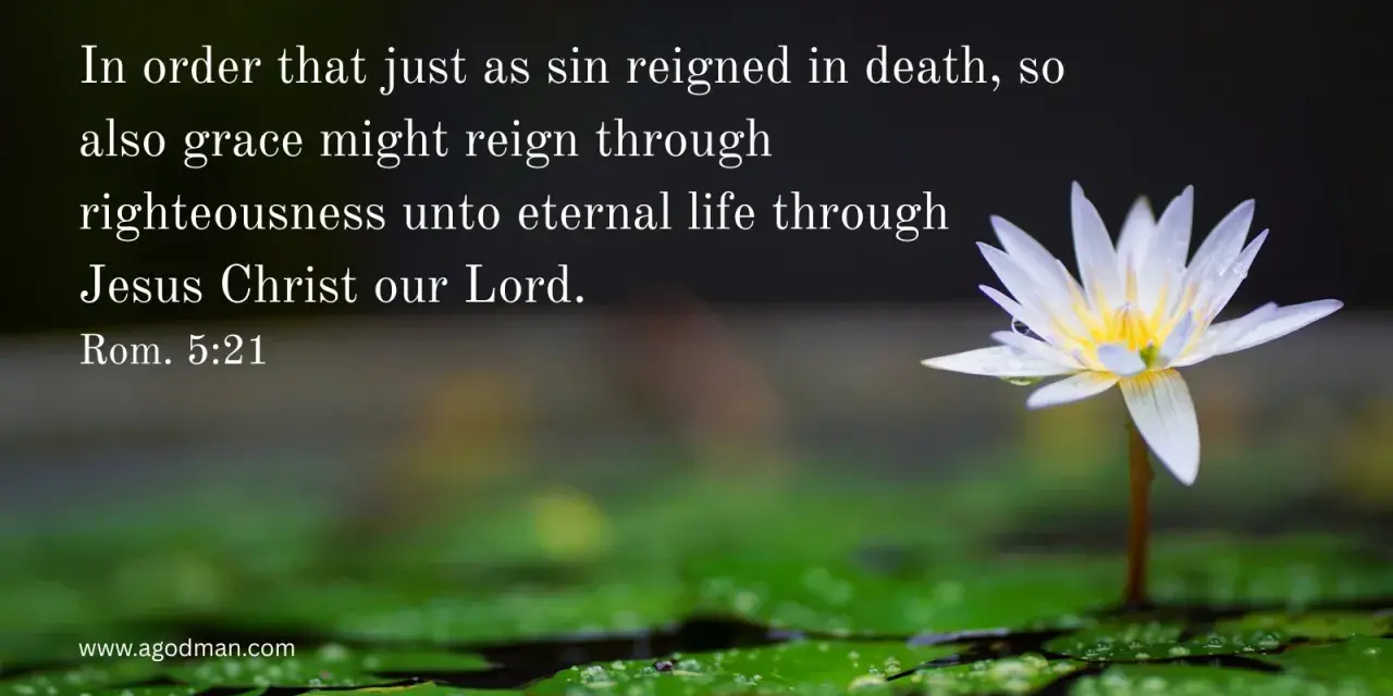 A white water lily blooms, symbolizing justification by faith and eternal life through Jesus Christ, as Romans 5:21 states.