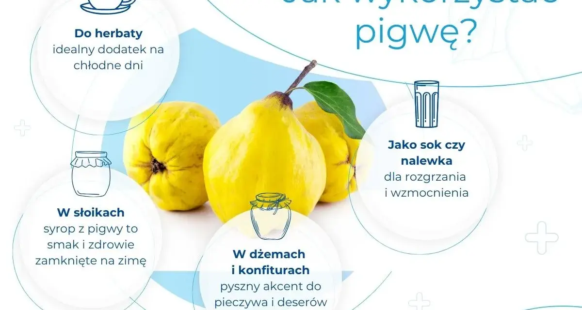 Pigwa: idealny dodatek do herbaty, syrop na zimę, sok, nalewka, dżem. Dowiedz się, co to pigwa i jak ją wykorzystać.