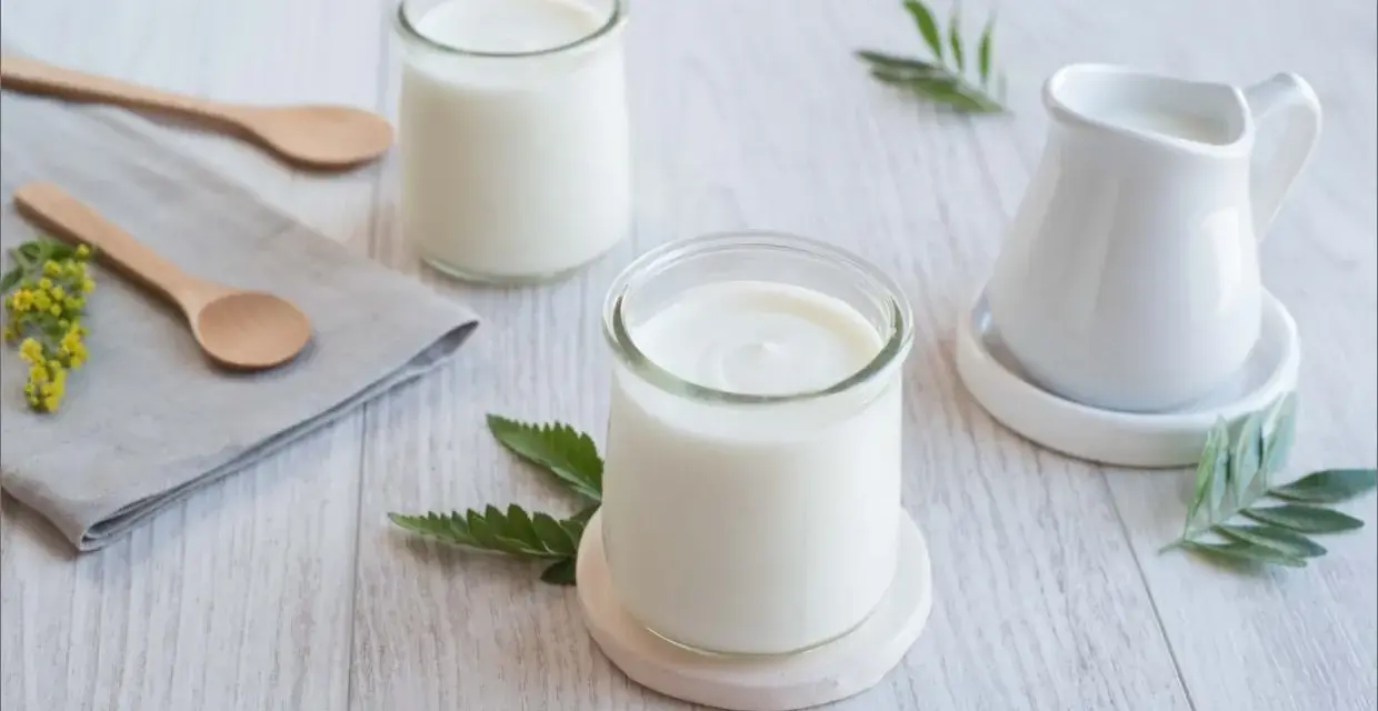 Deux pots de yaourt, une petite cruche et des cuillères en bois sur une table. La couleur blanche du lait, pourquoi est-il si pur ?