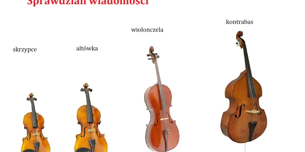 Skrzypce, altówka, wiolonczela i kontrabas – cztery instrumenty smyczkowe, każdy o innym rozmiarze i brzmieniu.
