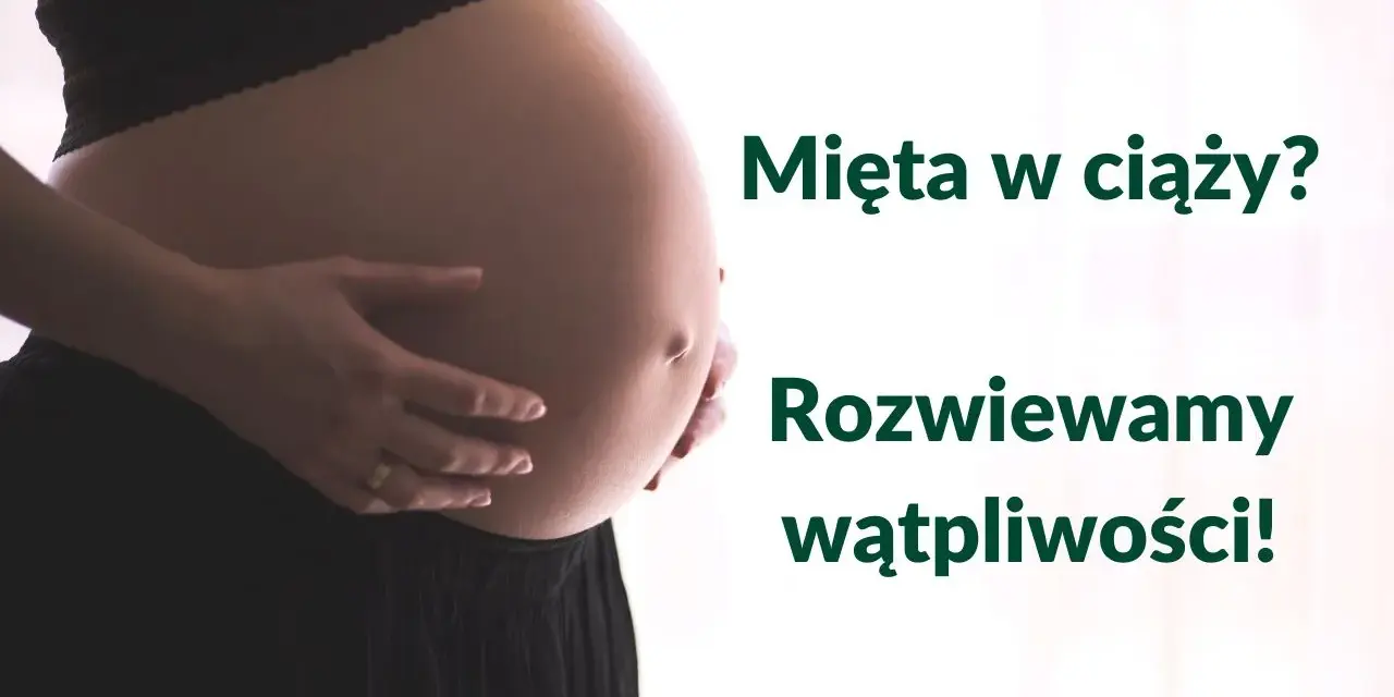 Brzuch kobiety w ciąży, z dłońmi delikatnie go obejmującymi. Obok tekst: "Mięta w ciąży? Rozwiewamy wątpliwości!".