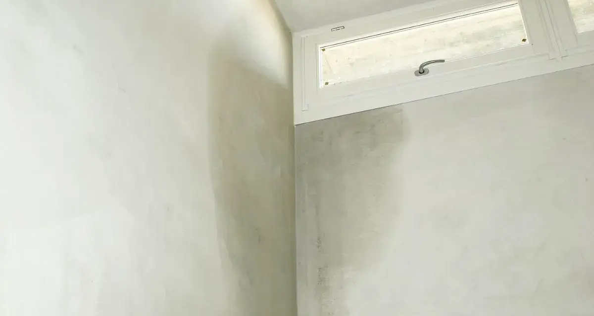 Angoli di un muro perimetrale con evidenti macchie scure dovute a infiltrazioni acqua piovana.