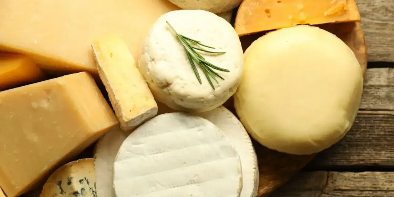 Assortiment de fromages variés, dont un bleu persillé, un camembert et un fromage rond crémeux, parfaits pour un plateau de **sucre de lait** gourmand.