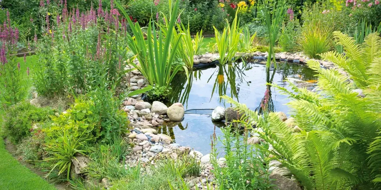Ein idyllischer kleiner gartenteich ideen mit üppiger Bepflanzung, bunten Blumen und Fischen.