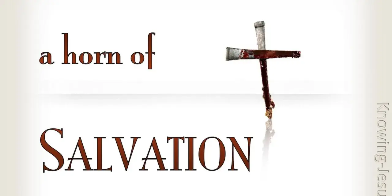 A cross made of nails, stained with blood, symbolizes the horn of salvation. Text reads "a horn of SALVATION.