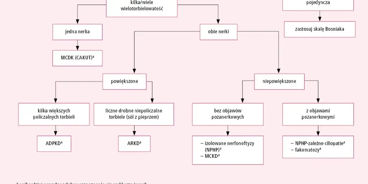 Schemat diagnostyczny torbieli nerek: od pojedynczej torbieli do wielotorbielowatości, uwzględniający objawy i skalę Bosniaka.