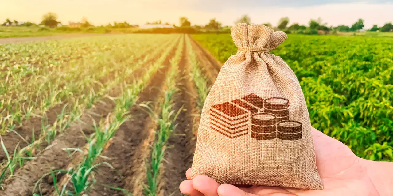 Bolsa de dinero en mano sobre campo de cultivo. Ideal para cotizar régimen agrario sin trabajar y planificar tu futuro.