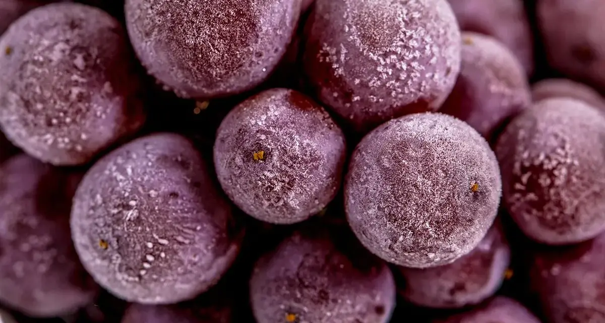 Gefrorene rote Weintrauben mit Eiskristallen, bereit zum Einfrieren für erfrischende Snacks.