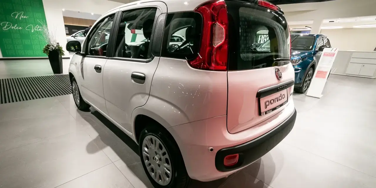 Biały Fiat Panda stoi w salonie samochodowym obok niebieskiego Fiata.