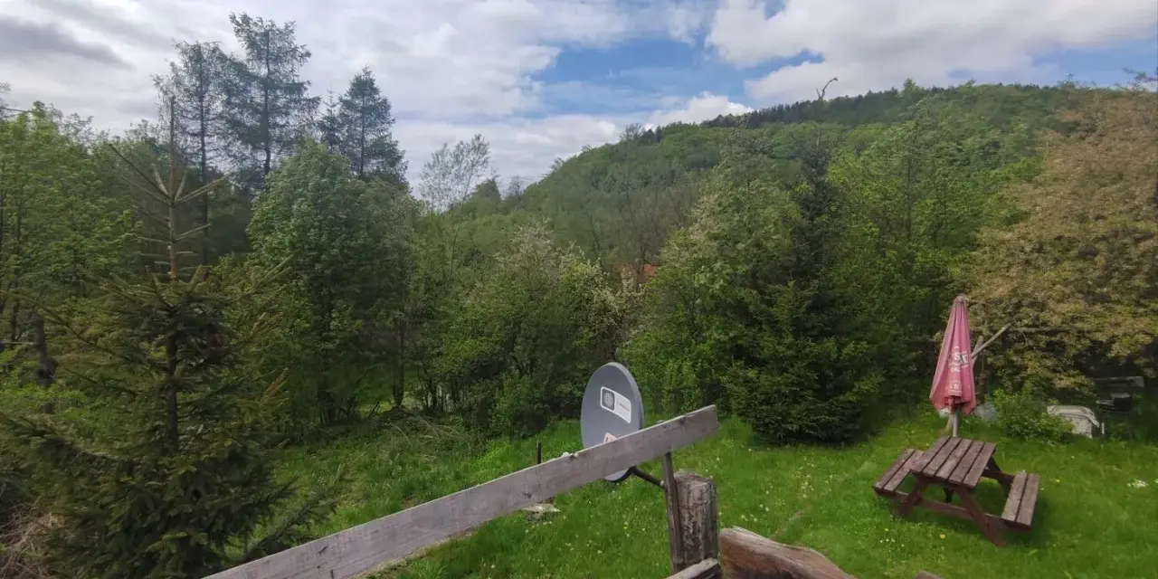 Zielona, szwajcarska dolina z lasem, drewnianym stołem piknikowym i parasolem.
