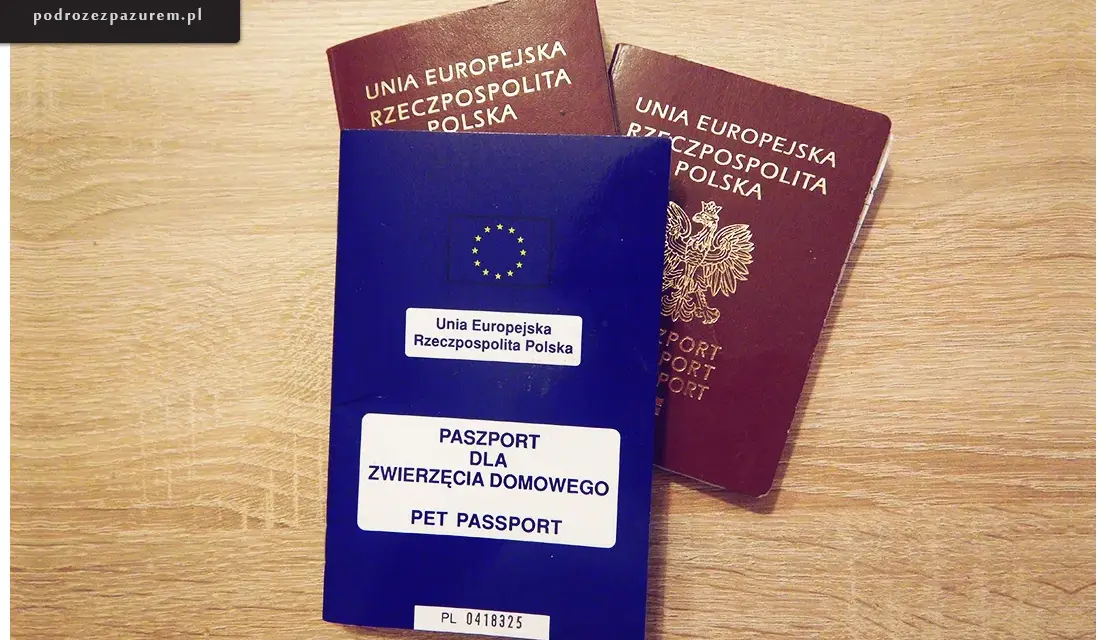 Czarnogóra: Dowód wystarczy, ale jest haczyk! Kiedy paszport?