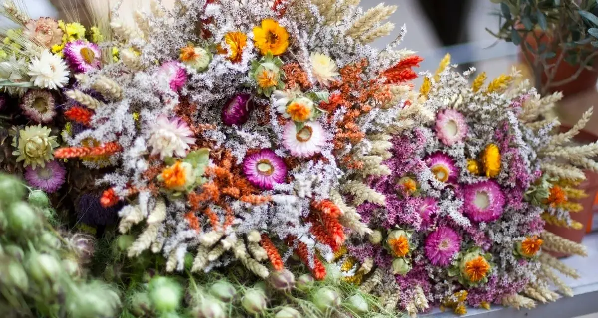 Bunte Sträuße mit getrockneten Blumen und Gräsern, die an einen Sommer voller blumen trocknen erinnern.