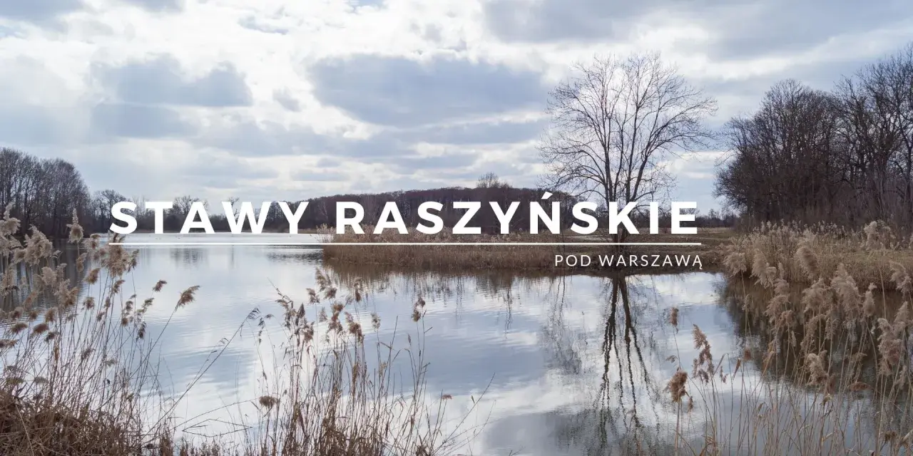 Rezerwat Przyrody Stawy Raszyńskie: Odkryj jego tajemnice i bogactwo fauny
