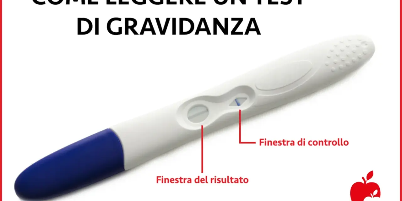 Test di gravidanza positivo con due linee visibili. Indicazioni su come leggere il risultato.