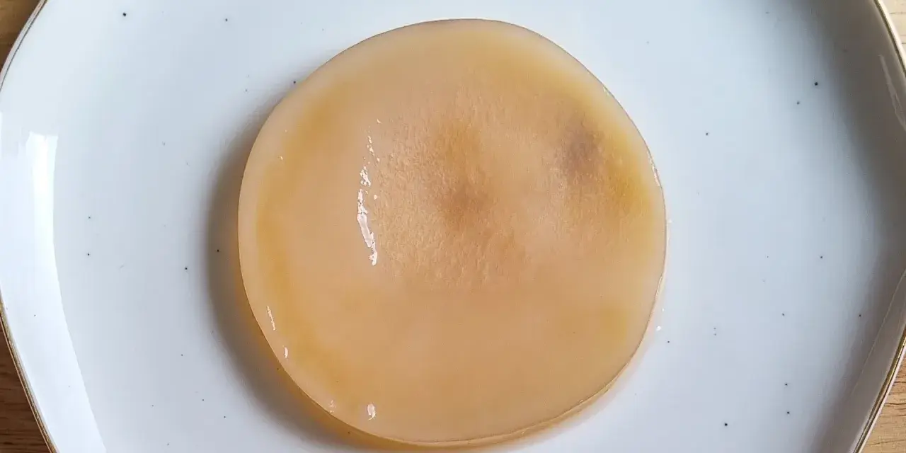 Disque de kombucha moisi, d'une couleur beige pâle, posé sur une assiette blanche.