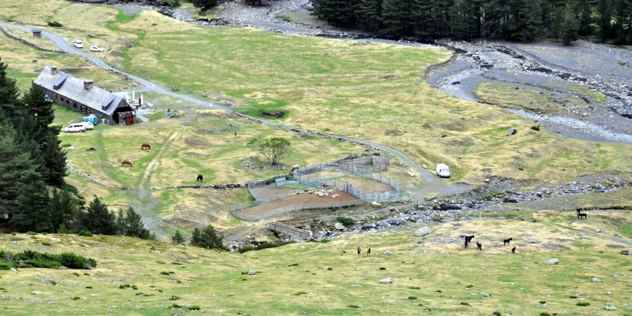 Vue aérienne du hospice du Rioumajou, avec ses bâtiments, des chevaux et des moutons dans des enclos, au milieu d'une vallée verdoyante bordée de pins.