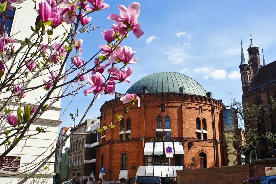 Planetarium Toruń: Jak zaplanować wizytę? Seanse, bilety, wystawy