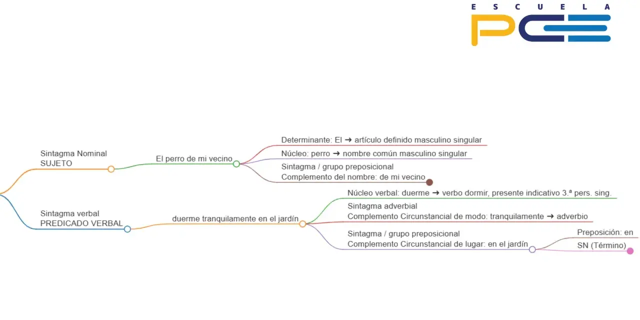 Diagrama de árbol para el análisis sintáctico de "El perro de mi vecino duerme tranquilamente en el jardín", mostrando sujeto y predicado.