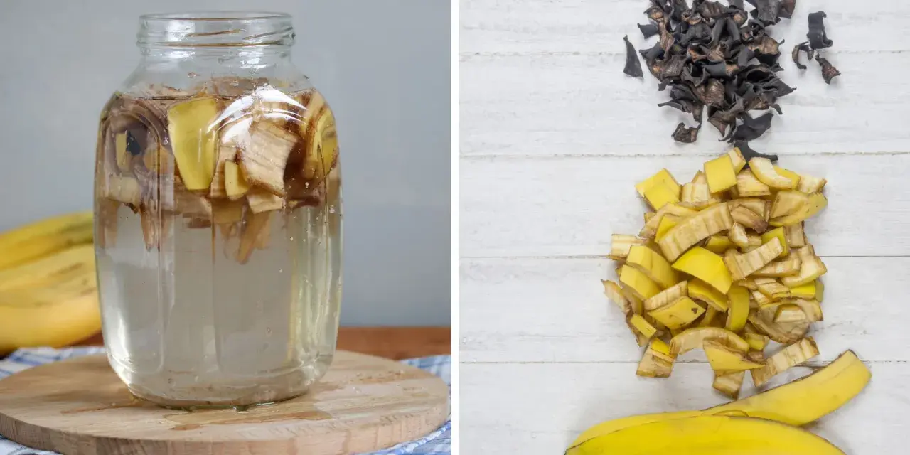 Słoik z wodą i skórkami bananów, obok pokrojone skórki i wysuszone resztki. Naturalny nawóz ze skórki banana gotowy do użycia.
