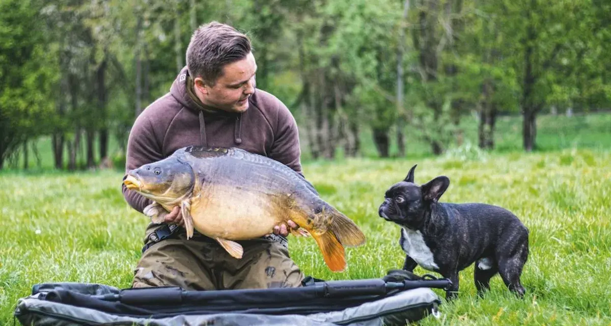 Ein Angler präsentiert stolz einen großen Karpfen, während sein kleiner Hund neugierig zusieht. Ein erfolgreicher Tag beim feedern auf Karpfen.