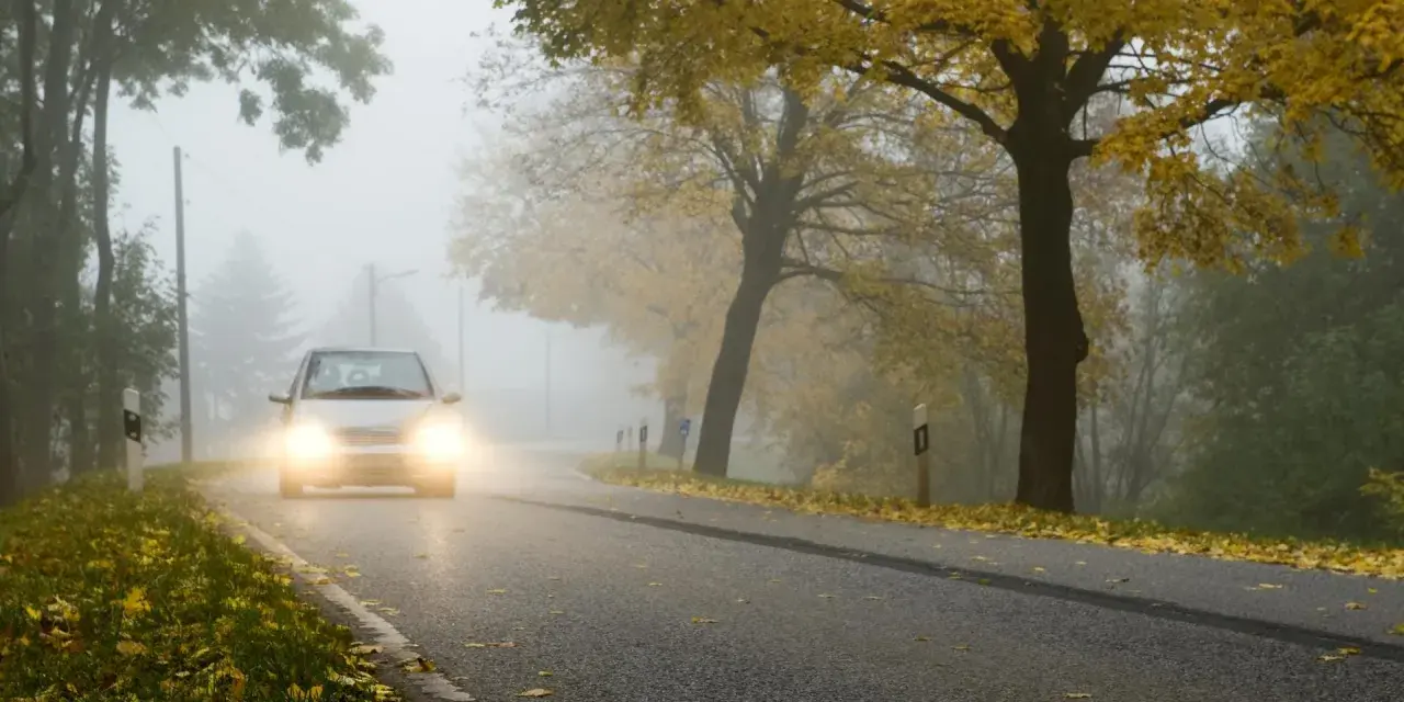 Auto fährt durch dichten Nebel, wann Nebelscheinwerfer unerlässlich sind. Herbstlaub liegt am Straßenrand.