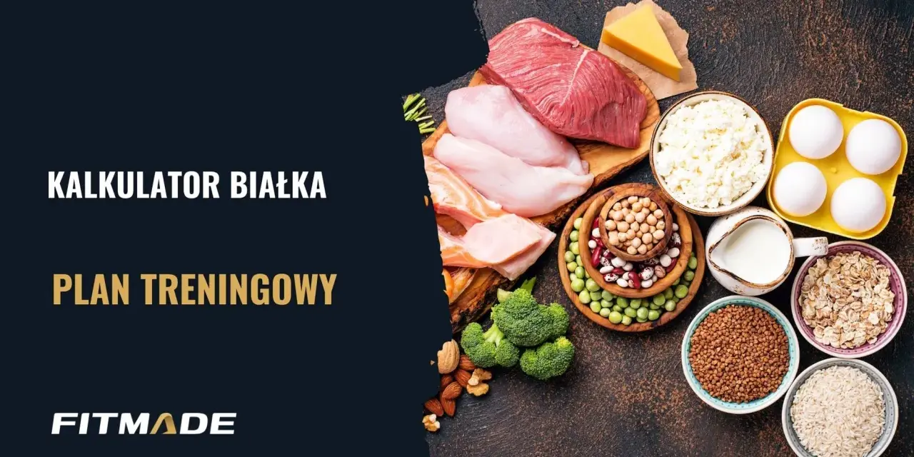 Kalkulator białka i plan treningowy. Różnorodne źródła białka: mięso, ryby, jajka, nabiał, rośliny strączkowe, płatki owsiane, ryż i kasza.