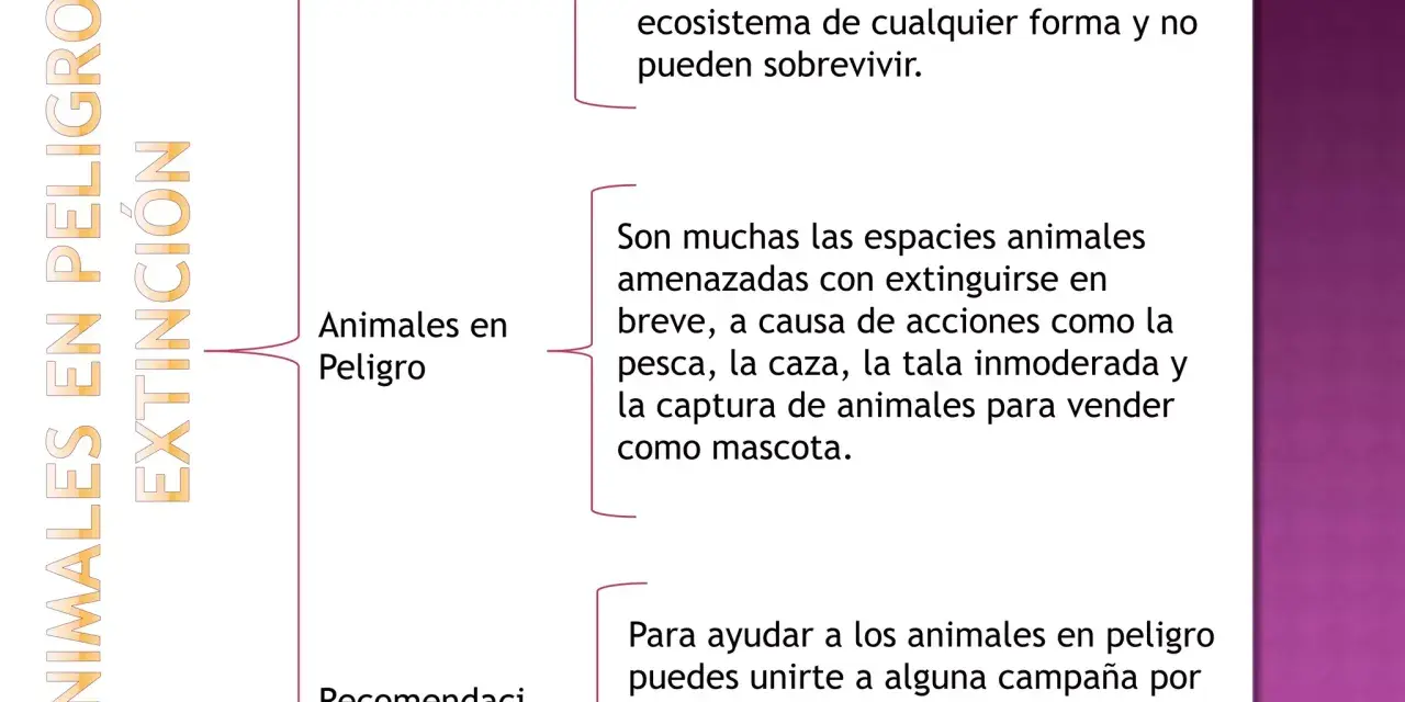 Mapa mental sobre animales en peligro de extinción, sus causas y soluciones.