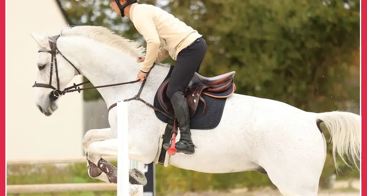 Cavalier et cheval blanc en plein saut d'obstacles, un exercice de musculation pour le cheval.