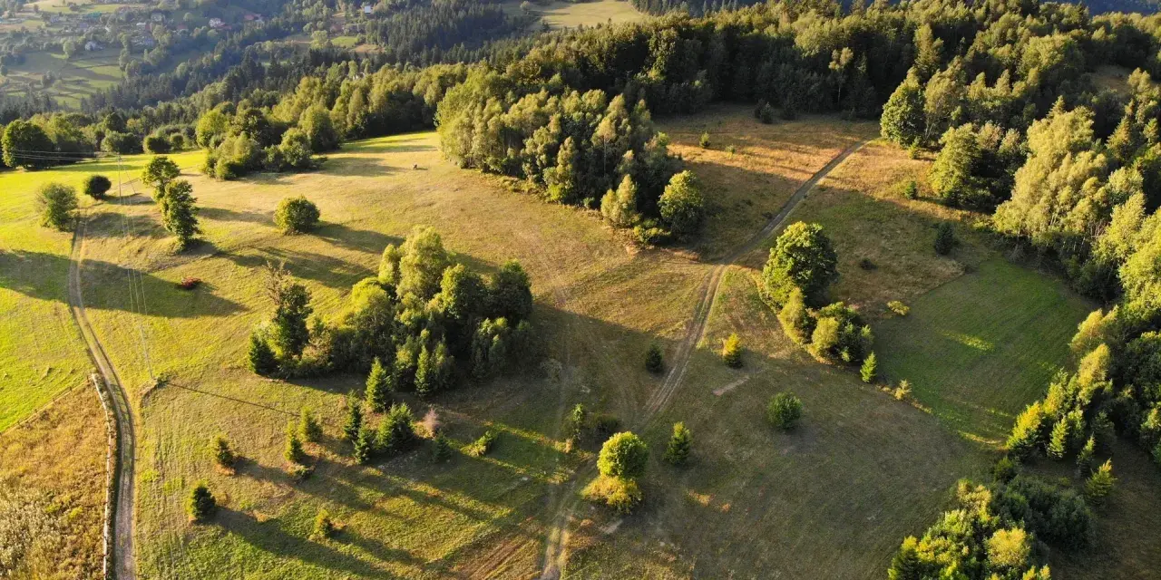 Malownicze wzgórza i lasy, idealne do odkrywania, co zwiedzić w Żywcu. Długie cienie i złote światło podkreślają piękno krajobrazu.