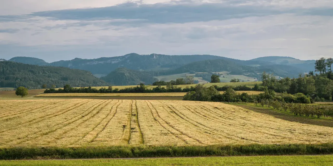 Nowoczesne zarządzanie danymi: kalkulator emisji CO₂ w gospodarstwie jako fundament strategii środowiskowej