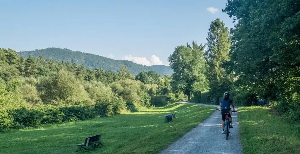 Osoba na rowerze przemierza malowniczą trasę rowerową Skoczów Wisła, otoczoną zielenią i wzgórzami.