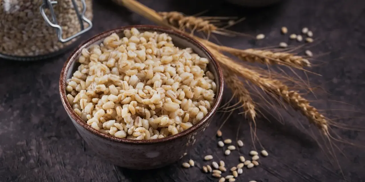 Un bol de perles d'orge cuites, avec des épis et des grains d'orge, évoquant les nombreux bienfaits de ce grain.