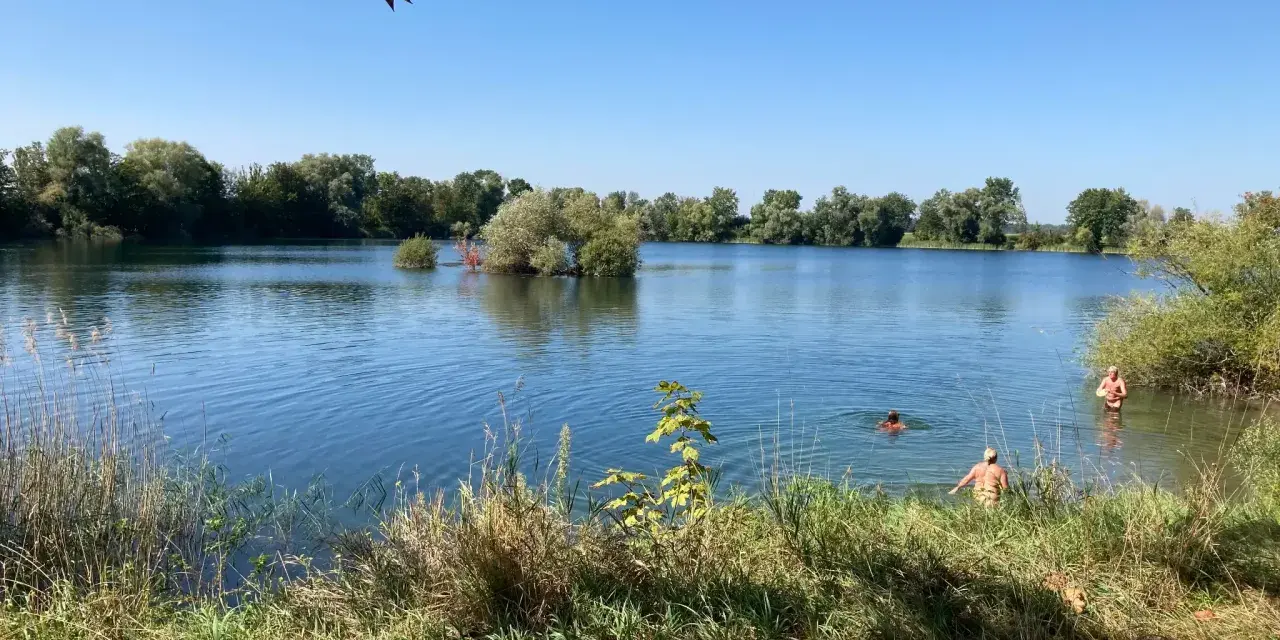Sonniger Tag am Biebesheim See. Menschen genießen das kühle Wasser, umgeben von üppiger Vegetation und klarem Himmel.