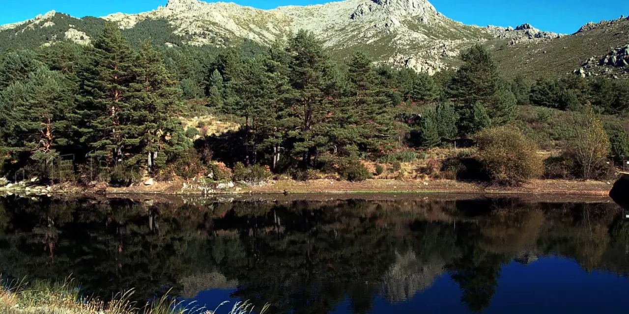 Reflejo perfecto de pinos y montañas en el lago, ideal para la barranca ruta circular.