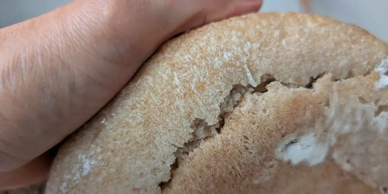 Eine Hand hält ein Brot, das Risse hat. Nächstes Mal gelingt das brot ohne risse backen bestimmt besser.